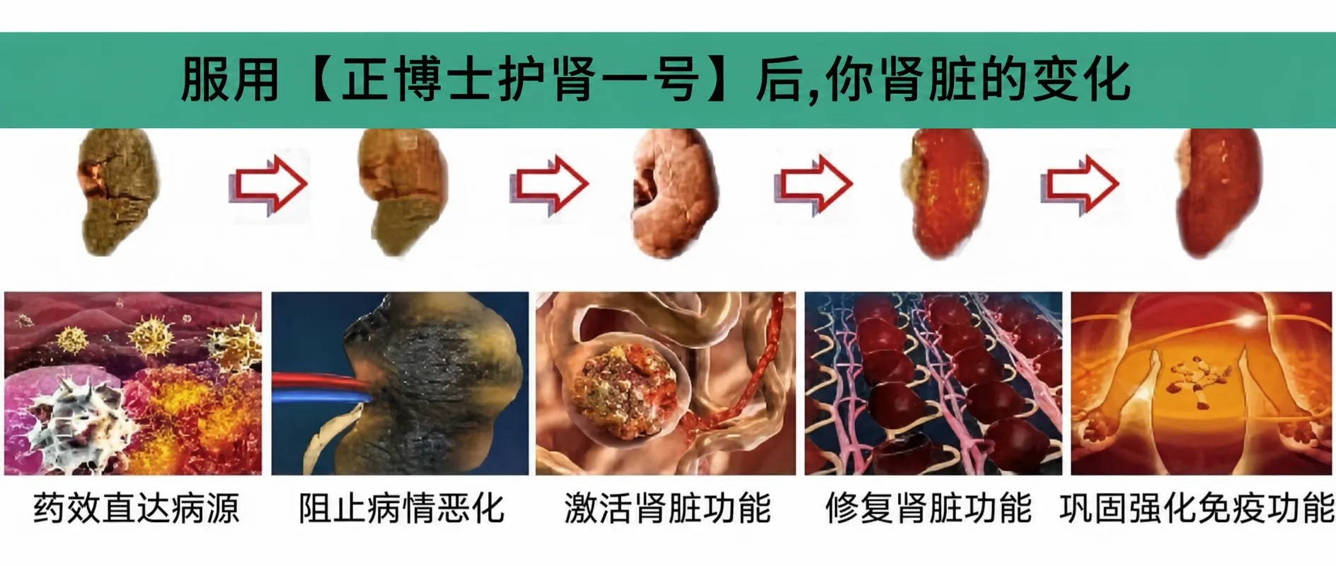 产品功效